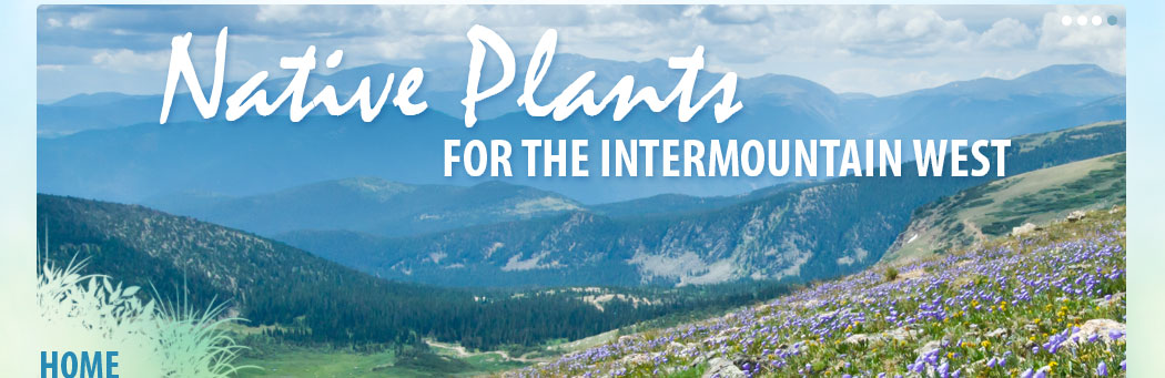 Native Plants for the Intermountain West